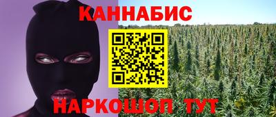 индика Будённовск