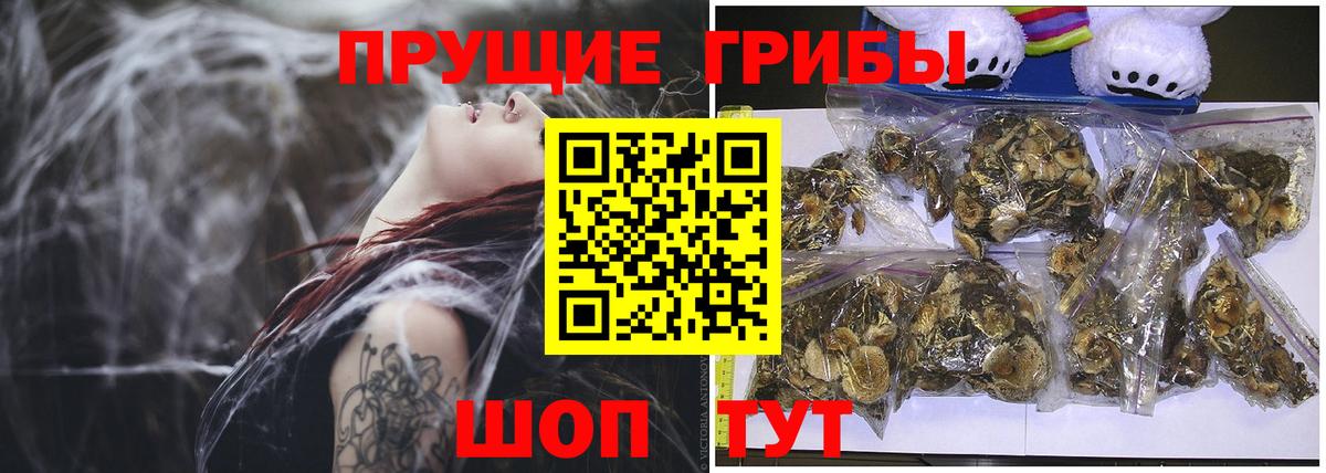 Псилоцибиновые грибы Psilocybine cubensis Пыть-Ях